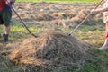 A man and a woman are collecting hay with a pitchfork. Royalty Free Stock Photo