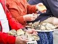 Man and woman eating oysters on white plate lunch time outdoor Royalty Free Stock Photo