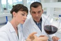 Man and woman experts in white coats checking wine quality Royalty Free Stock Photo