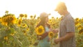 Man and woman farmers with a tablet work in the field with sunflowers. The concept of agriculture. agriculturist and