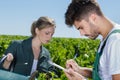 man and woman gardeners standing together in grapes tree yard Royalty Free Stock Photo