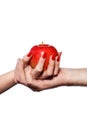 Man and woman hands holding forbidden fruit, sin Royalty Free Stock Photo