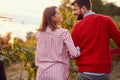 Man and woman harvesting grape together in a vineyard Royalty Free Stock Photo