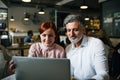 Man and woman having business meeting in a cafe, using laptop. Royalty Free Stock Photo