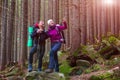 Man and Woman Hikers Staying in Dense Old Forest Smiling and Pointing Royalty Free Stock Photo