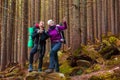 Man and Woman Hikers Staying in Dense Old Forest Smiling and Pointing Royalty Free Stock Photo