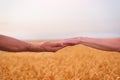 Man and woman holding hand on field of ripe wheat background. Harmony and unity with nature