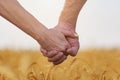 Man and woman holding hands on background field of ripe wheat. Close up Royalty Free Stock Photo