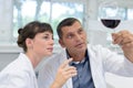 man and woman inspecting wine in laboratory Royalty Free Stock Photo