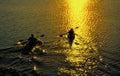 Man and Woman Kayaking at Sunset Royalty Free Stock Photo