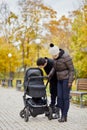 Man and woman look into perambulator standing on