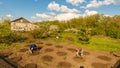 Man and woman plant melons and watermelons Royalty Free Stock Photo