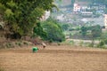 Man and Woman Planting a Field