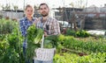 Man and woman professional gardeners holding harvest of vegetables