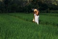 A man and a woman among the rice terraces. A couple in love is traveling in Asia. A man and a woman are traveling in Indonesia. Royalty Free Stock Photo