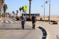 A man and a woman riding bikes along a smooth bike path at the beach surrounded by lush green palm trees and silky sand
