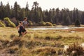 Man and woman running in nature near a lake, side view