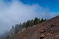 Man and woman running on volcanic trail, La Palma, Spain Royalty Free Stock Photo