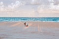 Man or woman sitting in beach chair on empty Hollywood ocean beach in Florida. Senior person enjoying nature water at sunset on