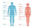 Man and Woman Size Chart. Human front side Silhouette. Isolated