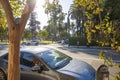 A man and a woman standing on the corner of Raymond Ave surrounded by lush green trees, grass and plants and cars parked Royalty Free Stock Photo