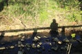 Man or woman stands on a bridge, their shadow falls on a meadow on banks of a stream Royalty Free Stock Photo