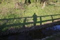 Man or woman stands on a bridge, their shadow falls on a meadow on banks of a stream Royalty Free Stock Photo