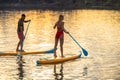 Man and woman sup board surfers at sunset. Royalty Free Stock Photo