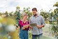Man and woman with tablet working in vineyard in autumn, harvest concept. Royalty Free Stock Photo