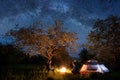 Man and woman tourists sitting at a campfire near tent under trees and beautiful night sky full of stars and milky way