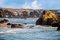 Man and woman with two dogs walking on Northern California beach with huge outcroppings - view from above Royalty Free Stock Photo