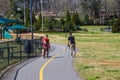 A man and a woman walking a dog along a winding footpath with a yellow line in the park surrounded by green grass