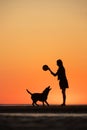man or woman walking the dog at sunset, a walk by the lake or sea at sunset Royalty Free Stock Photo