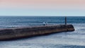 Man and woman walking dogs on a pier at sunset in Cascais, Portugal Royalty Free Stock Photo