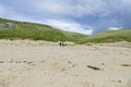 A man and a woman walking in the dunes along Royalty Free Stock Photo