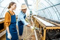 Man and woman working on the farm for snails growing Royalty Free Stock Photo