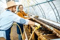 Man and woman working on the farm for snails growing Royalty Free Stock Photo