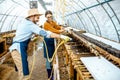 Man and woman working on the farm for snails growing Royalty Free Stock Photo