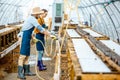Man and woman working on the farm for snails growing Royalty Free Stock Photo