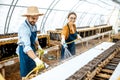 Man and woman working on the farm for snails growing Royalty Free Stock Photo