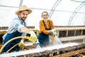Man and woman working on the farm for snails growing Royalty Free Stock Photo