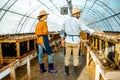Man and woman working on the farm for snails growing Royalty Free Stock Photo