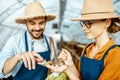Man and woman working on the farm for snails growing Royalty Free Stock Photo