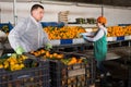 Man and woman working on tangerines sorting line