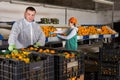 Man and woman working on tangerines sorting line