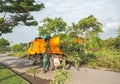 Man and women working to cut and move tree after cut down, Edito Royalty Free Stock Photo