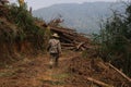 A man, wood worker, walks toward a pile of freshly cut logs Royalty Free Stock Photo