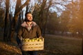 Man with wooden box of yellow ripe golden apples in the orchard farm. Grower harvesting in the garden holding organic apple crate Royalty Free Stock Photo