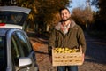 Man with wooden box of yellow ripe golden apples at the orchard farm loads it to his car trunk. Grower harvesting in the Royalty Free Stock Photo