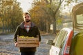 Man with wooden box of yellow ripe golden apples at the orchard farm loads it to his car trunk. Grower harvesting in the Royalty Free Stock Photo